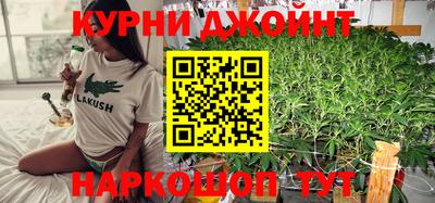гидра Краснодар