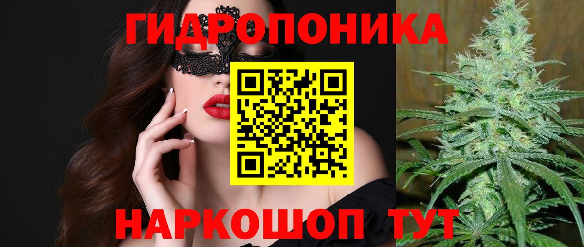 Бошки марихуана гибрид  Каннабис VHQ  Конопля ГИДРОПОН  Всеволожск  Вход с VPN 